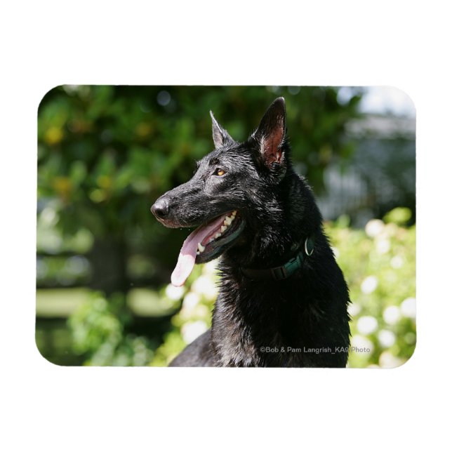 German Shepherd Headshot 2 Magnet (Horizontal)