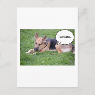 German shepherd Humour Postcard