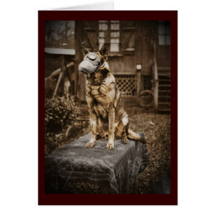 German Shepherd in Gas Mask