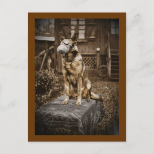 German Shepherd in Gas Mask Postcard