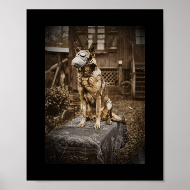German Shepherd in Gas Mask Poster (Front)