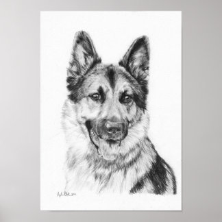 German Shepherd in Graphite Print