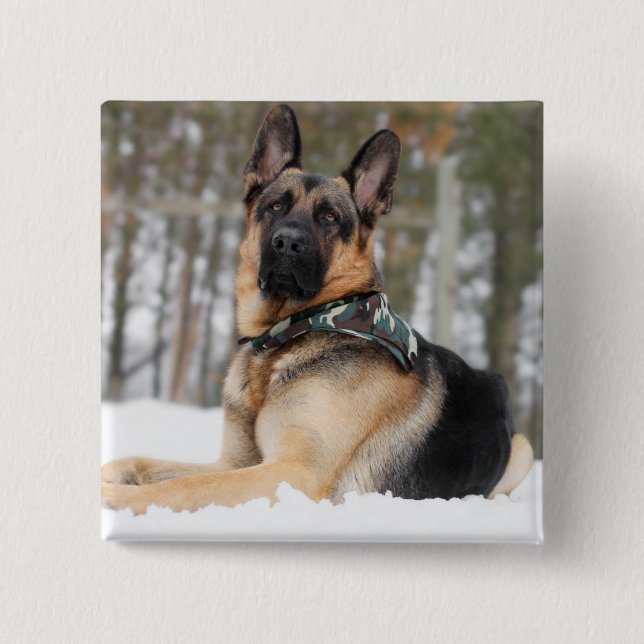 German Shepherd In Snow 15 Cm Square Badge (Front)
