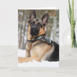 German Shepherd In Snow Card