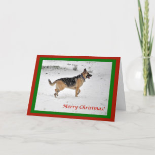 German Shepherd in snow Christmas Card
