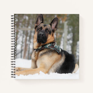German Shepherd In Snow Notebook