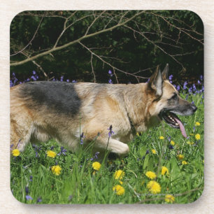 German Shepherd in Yellow Flowers Coaster