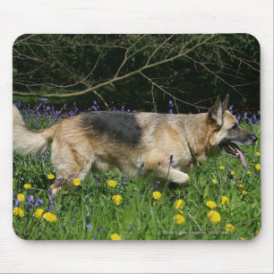 German Shepherd in Yellow Flowers Mouse Pad