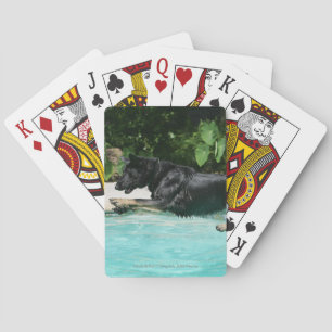 German Shepherd Jumping in Water Playing Cards
