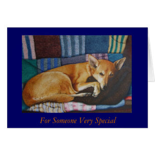 german shepherd labrador mixed breed dog portraits