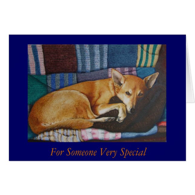 german shepherd labrador mixed breed dog portraits (Front Horizontal)