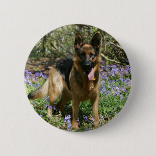 German Shepherd Laying Down 6 Cm Round Badge
