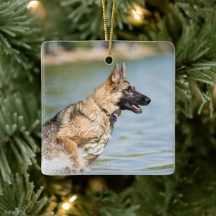 German Shepherd Leaps Into Water Ceramic Ornament