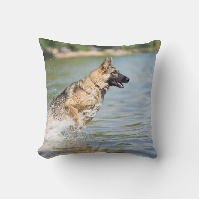 German Shepherd Leaps Into Water Cushion (Front)