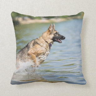 German Shepherd Leaps Into Water Cushion