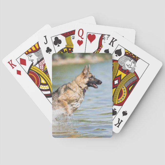 German Shepherd Leaps Into Water Playing Cards (Back)