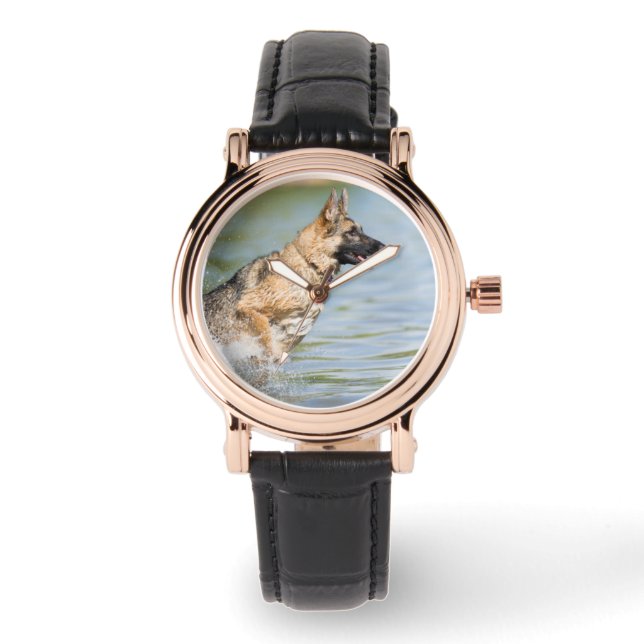 German Shepherd Leaps Into Water Watch (Front)
