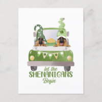 German Shepherd Let The Shenanigans Begin