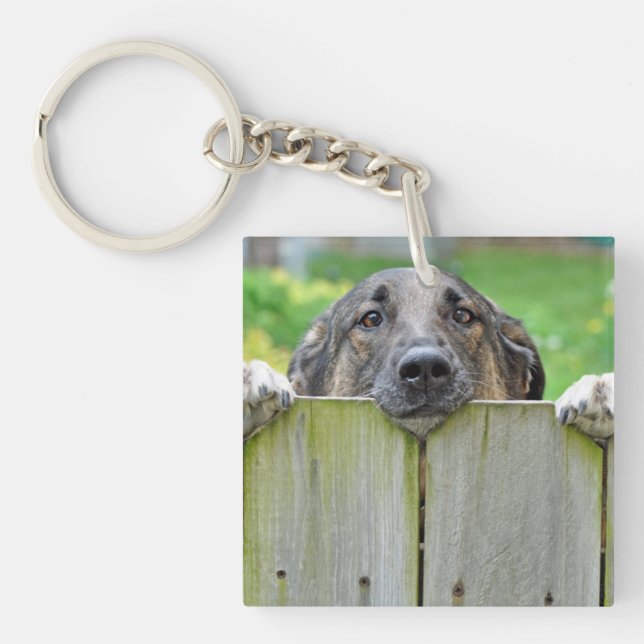 German Shepherd Looking Over Fence Key Ring (Front)