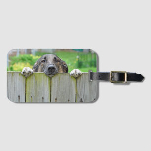 German Shepherd Looking Over Fence Luggage Tag