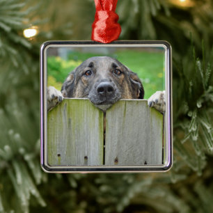 German Shepherd Looking Over Fence Metal Ornament