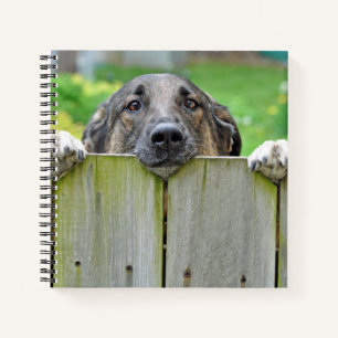 German Shepherd Looking Over Fence Notebook