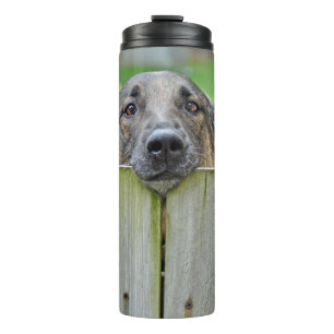 German Shepherd Looking Over Fence Thermal Tumbler