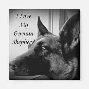 German Shepherd Magnet