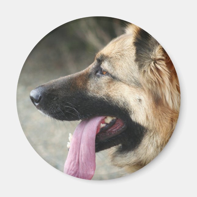 German Shepherd Magnet (Front)