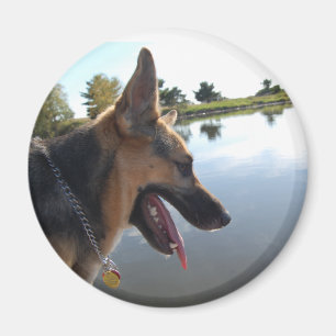 German Shepherd Magnet