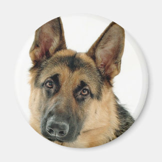 German Shepherd Magnet