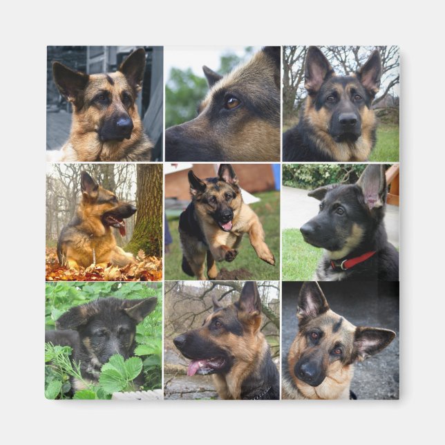 German Shepherd Mosaic Magnet (Front)