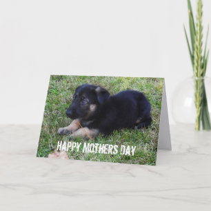 German Shepherd: Mothers Day Card