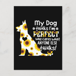 German Shepherd My Dog Thinks I'm Perfect Pet Paws Postcard