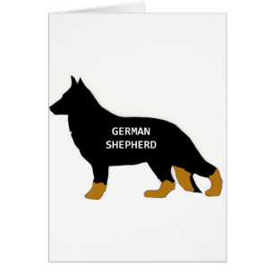 German Shepherd name silo bi colour