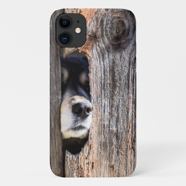 German Shepherd Nose Peeking Through Fence Case-Mate iPhone Case (Back)