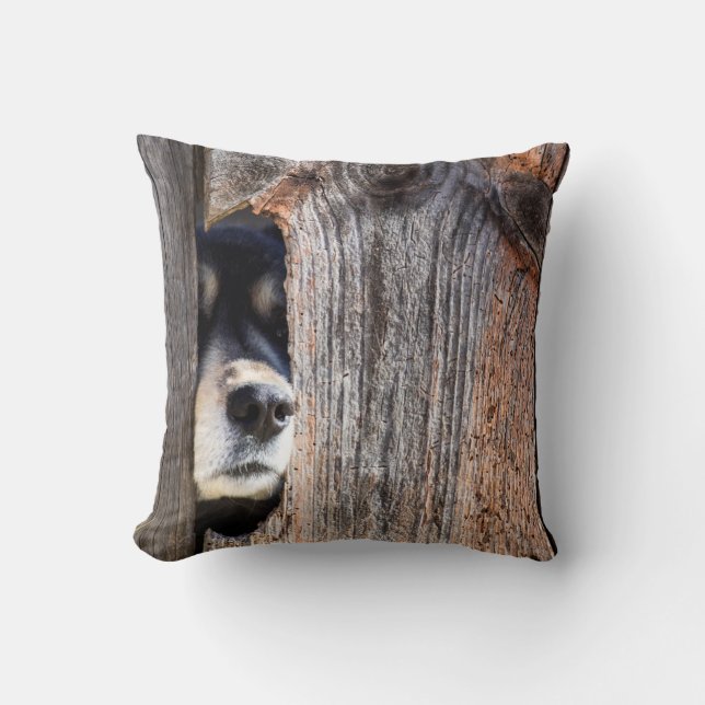 German Shepherd Nose Peeking Through Fence Cushion (Front)