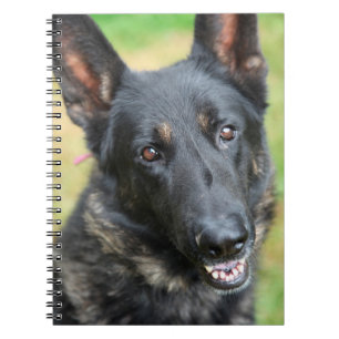 German Shepherd Notebook