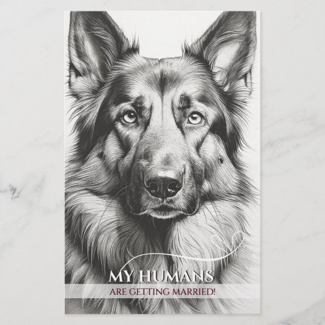 German Shepherd on a budget Wedding Invitation  Flyer (Front)
