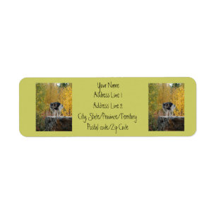 German Shepherd on a Rock Return Address Label