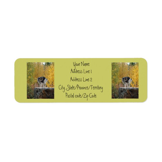 German Shepherd on a Rock Return Address Label (Front)