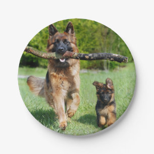 German Shepherd Paper Plates