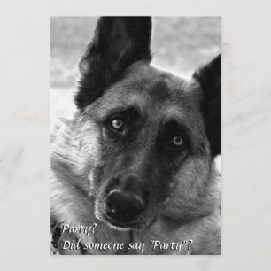 German Shepherd Party Invitations