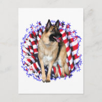 German Shepherd Patriot