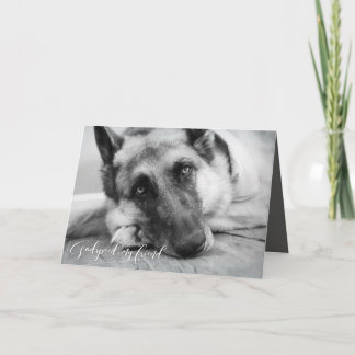 German Shepherd Pet Loss Sympathy Card