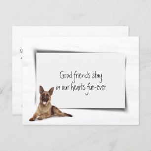 German Shepherd Pet Sympathy Loss Postcard