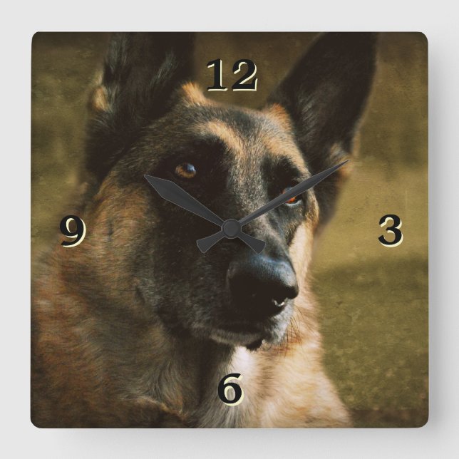 German Shepherd Photo Wall Clock (Front)