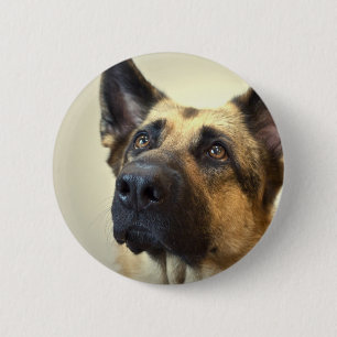 German Shepherd Picture Round Button