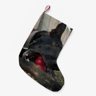 German Shepherd Playing With Dog Toy Small Christmas Stocking