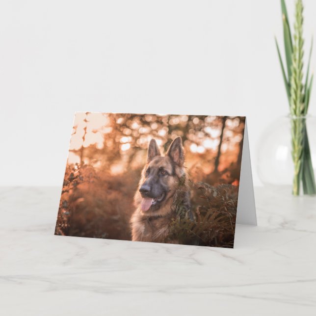 German shepherd portrait holiday card (Front)